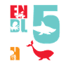 Enfin 5 poissons-requins