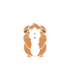 Humour cochon d'ine