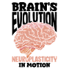 Unlock Your Brain's Potential Neuroplasticity