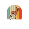 Funny zookeeper okapi lover
