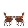 Funny zookeeper okapi lover