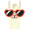 Coole Lama