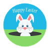 Happy Easter Bunny