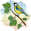 Bunter Vogel