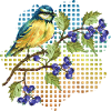 Bunter Vogel