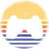 Gamer Retro Sunset Gaming