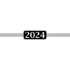2024 year