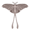 Chinese Moon Moth - Luna Moon Moth