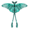Chinese Moon Moth - Luna Moon Moth