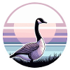 Beautiful Canadian Goose Sunset