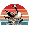 Crazy Canadian Goose Geese Canada