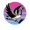 Angry Canadian Goose