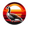 Canadian Goose Sunset Background