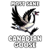 Funny Canadian Goose Meme