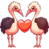 Autruche Couple Amour Couple Amoureux