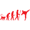 Development of Karate