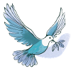friedenstaube dove of peace