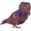 Owl Night Owl
