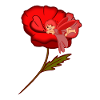 Fairy in a Poppy
