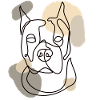 Tyran américain
