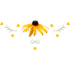 Coneflower yellow flowers
