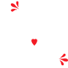 Wedding Anniversary 20 Years Married for 20 Years