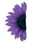 Suicide Prevention Awareness