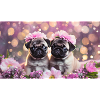 Cute baby dogs with flower wreaths