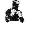 Boxer
