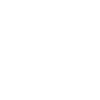 Pony Pilot