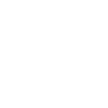 Lacrosse Professional Drawing