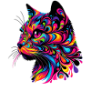 Chat