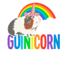 Cochon d’Inde Arc-en-ciel LGBTQ