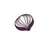 Onion soup