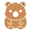 Quokka