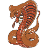 Cobra