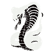 Cobra