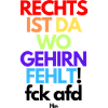 RECHTS fehlt Gehirn
