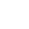 Handcart 2027