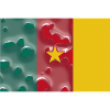 Cameroon as Cameroon