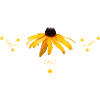 Coneflower yellow flowers