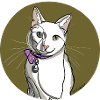 Katze Illustration