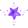 Bluebell Purple Flower