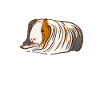 Cochon d’Inde Meilleure Maman