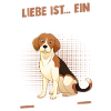Dog Beagle