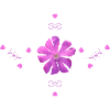 Carnation Pink Flower