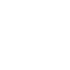 Colibri au trait