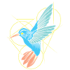 Hummingbird Abstract Line Art