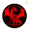 DRAGON NETWORK