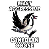 Canadian Goose Meme